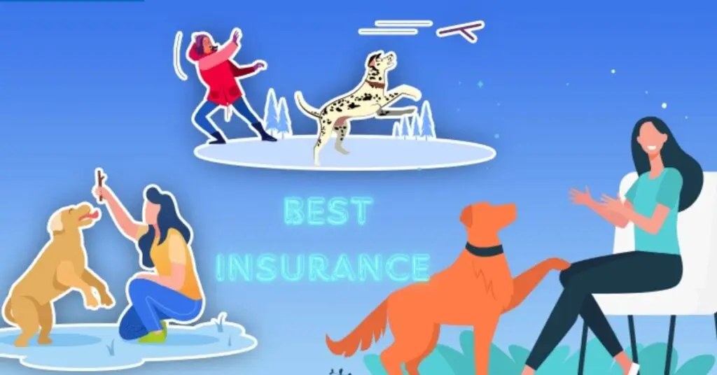 Best pet insurance policies in india 2024