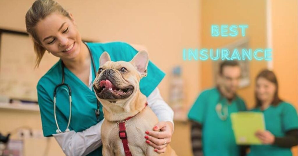 Best pet insurance policies in india 2024